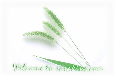 Go to sasaking world